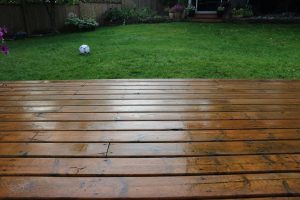 can-you-paint-damp-wood